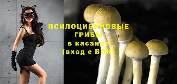 ПСИЛОЦИБИНОВЫЕ ГРИБЫ Зеленокумск