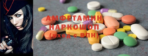 крисы Чердынь