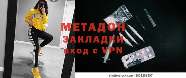 ГАЛЛЮЦИНОГЕННЫЕ ГРИБЫ Дмитриев