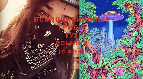 шишки Заволжск