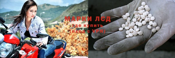шишки Заволжск